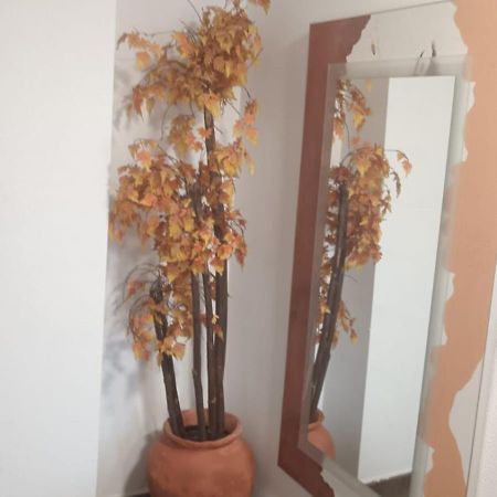 Apartamento Gloria Patricia アルカンタリージャ エクステリア 写真